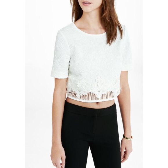 express white crop top